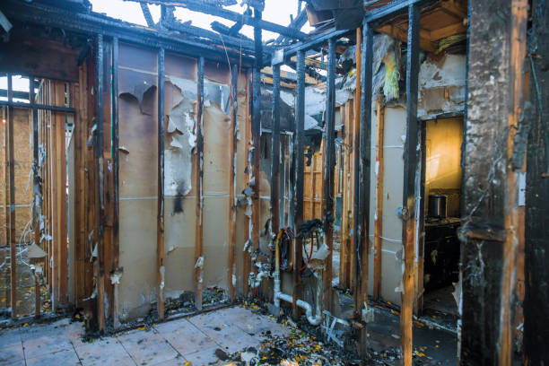Professional Emergency Fire Cleanup technician working in Cooksville, MD